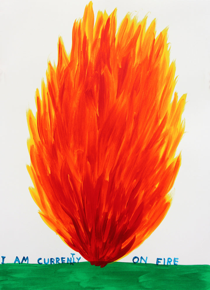 I Am Currently On Fire, 2018 by David Shrigley is a limited edition, 15 colour screenprint with varnish overlays. Discover the full collection of available artworks at Jealous. Purchase online or explore more prints on the gallery website.