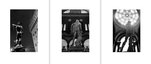 Italian Arses (Triptych)