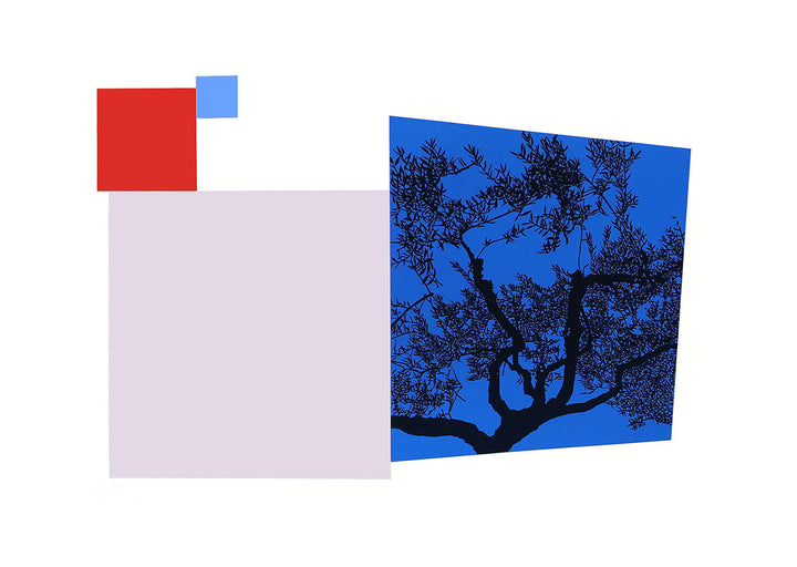 Olive Tree, Umbria