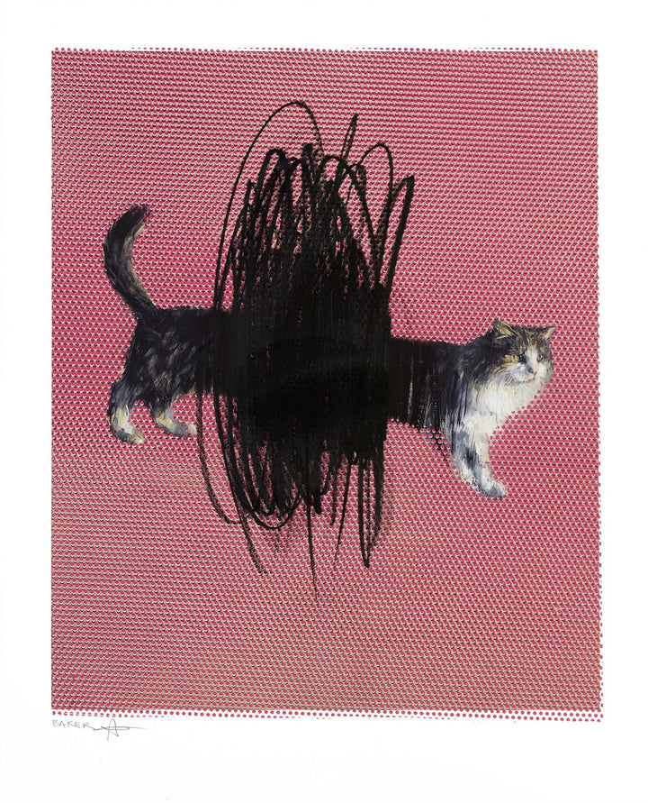 One or Two Cats