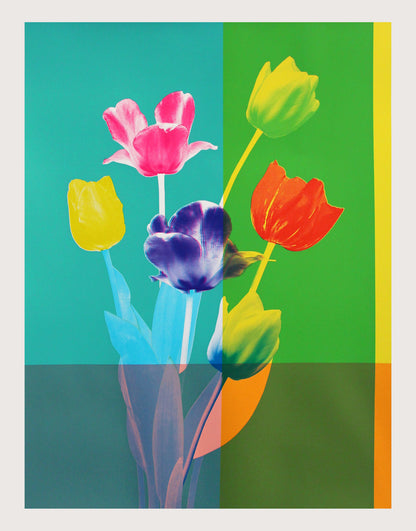 Tulips